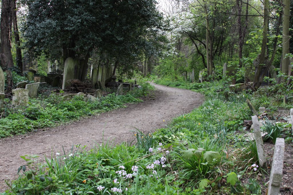 Tower Hamlets Cemetery Park by Anthony Stripp