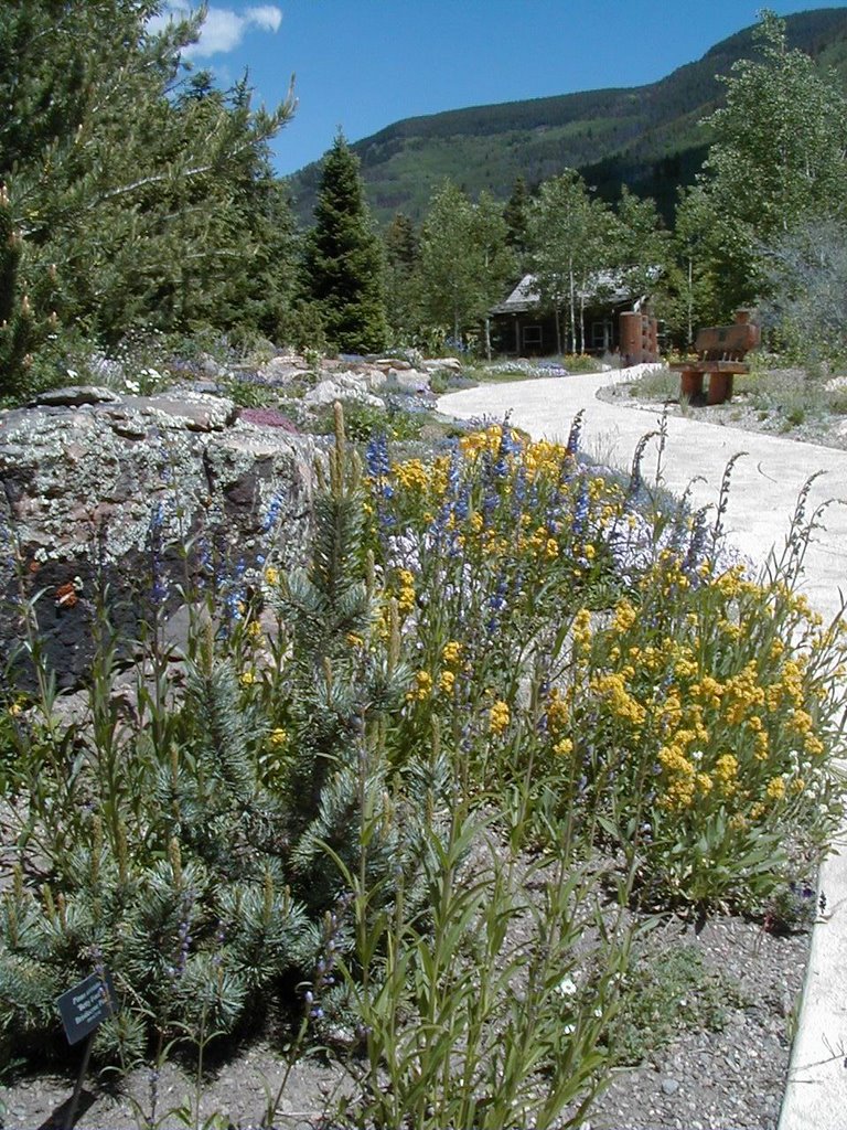 Betty Ford Alpine Gardens - July 2006 by Kent Hoffman