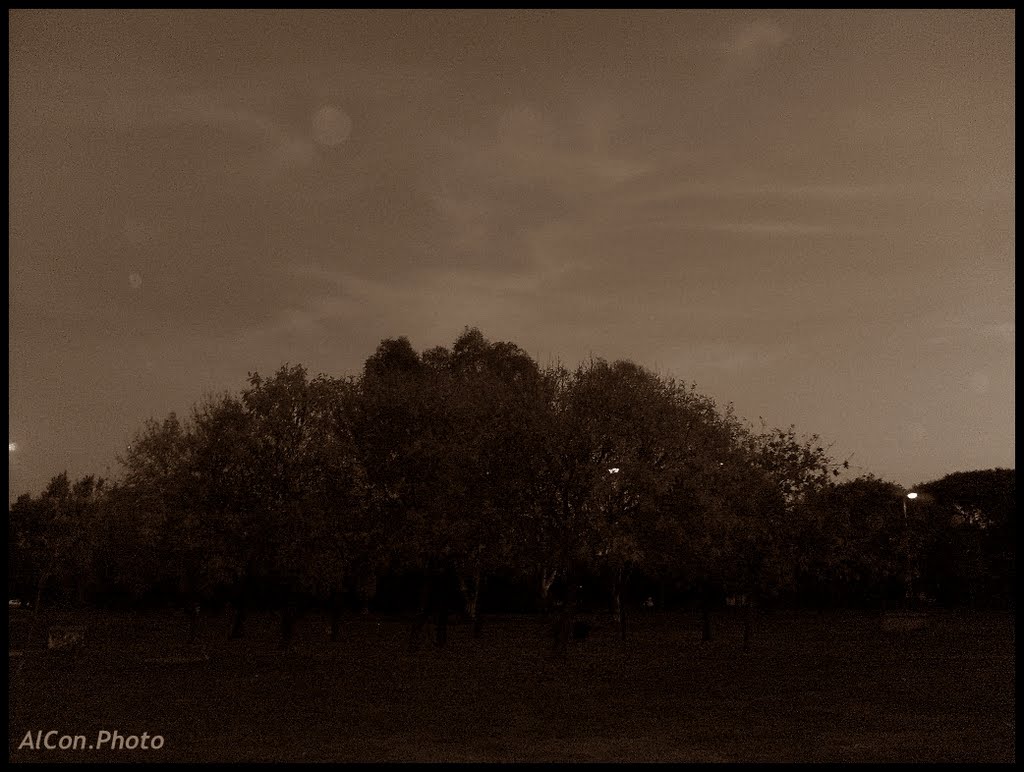 Saavedra en sepia by LichuKnzpt