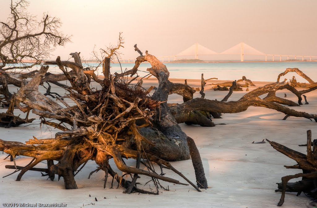 Summer Morning at Driftwood Beach by Michael Braxenthaler