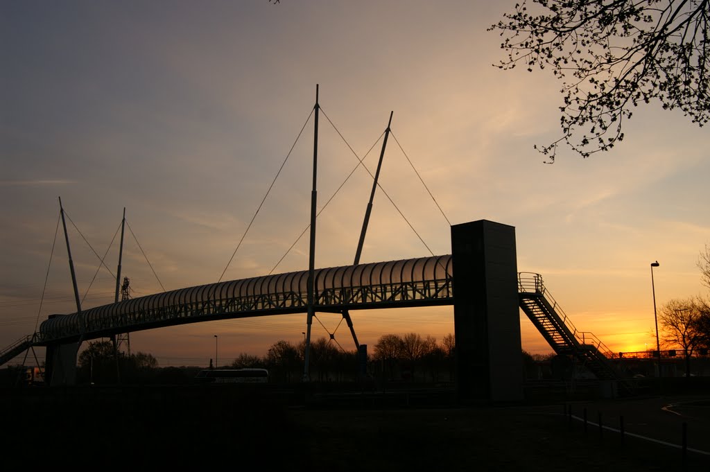 The Bridge Over The A12 Highway Near Veenendaal by Zbynda