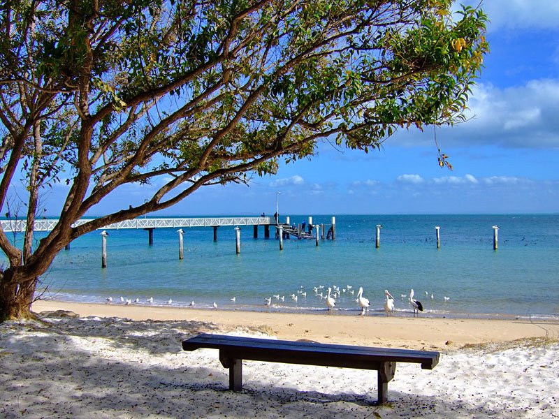 Beach in Amity Point by HYC