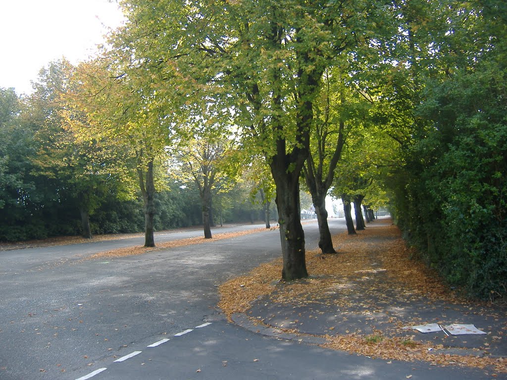 Cemetery Approach by Norman H Bailey