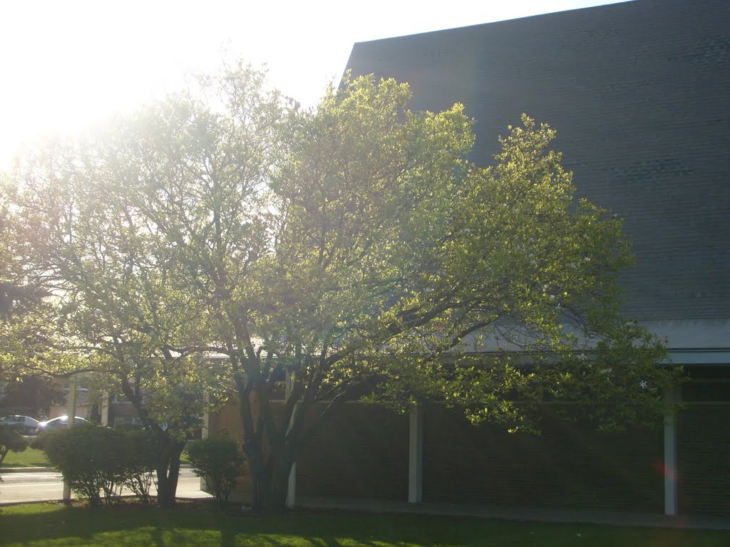 Saint Rosalie Catholic Church by mduffy