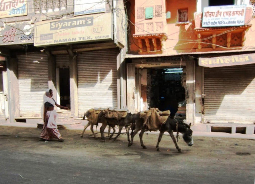 Udaipur. Here the camels are replaced by donkeys. by Florentine Vermeiren