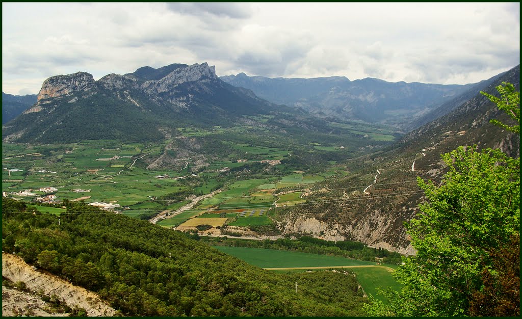 VISTA D'ORGANYA I LA VALL DE CABO DES DE VOLORIU by M.J. PARES