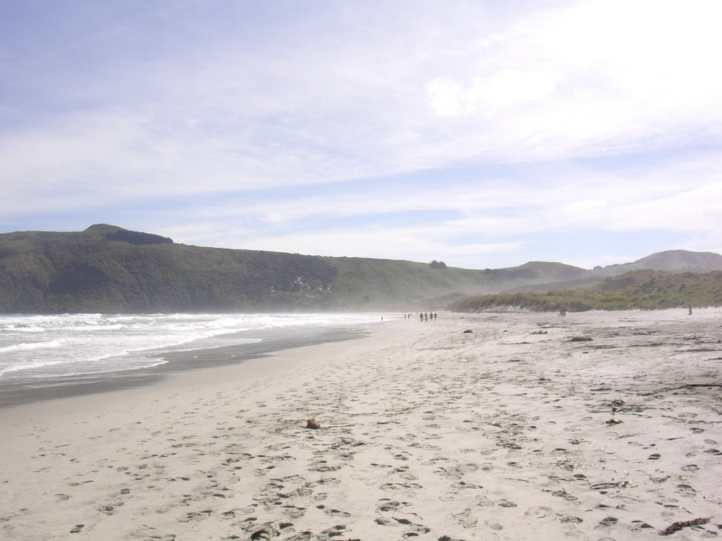 Allans Beach, Otago Peninsula, New Zealand by Andreas Nymo