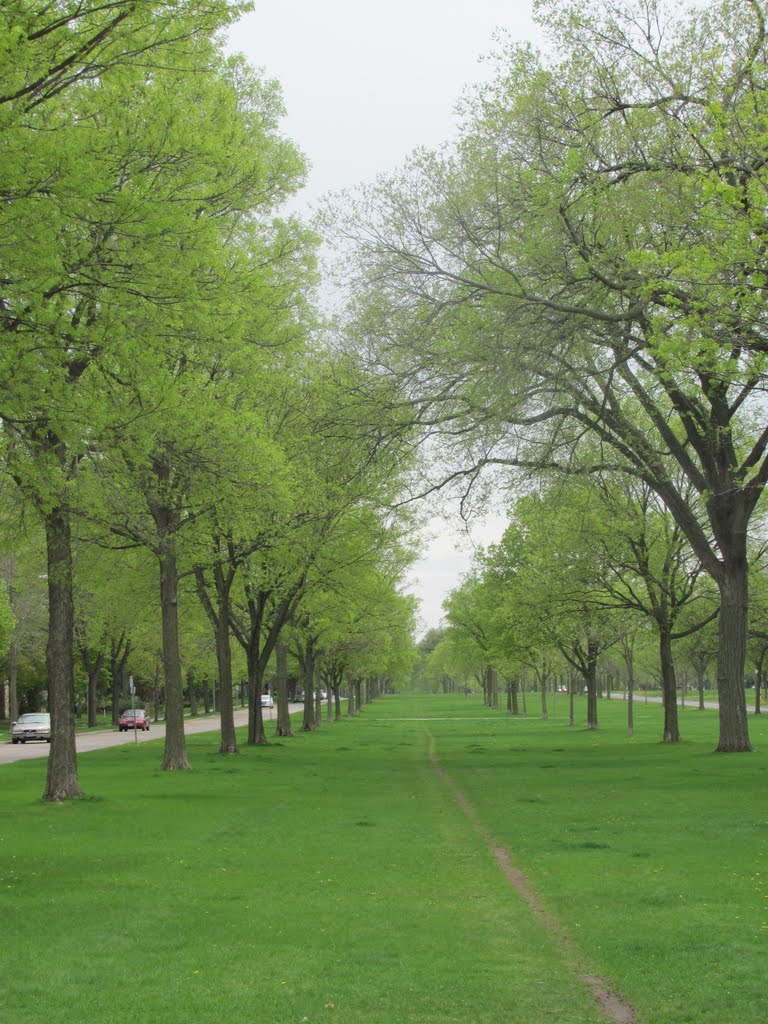 Springtime- Victory Memorial Parkway by camdennorthsider