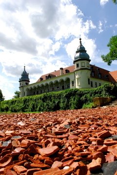 Krobielowice - Palace by Marcin Jedrowiak