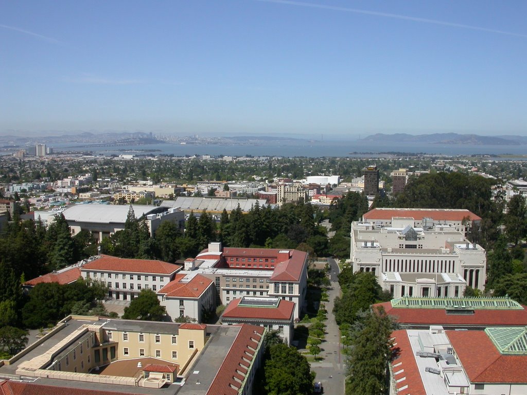 SF view from Sather tower by Dimitrije Markovic