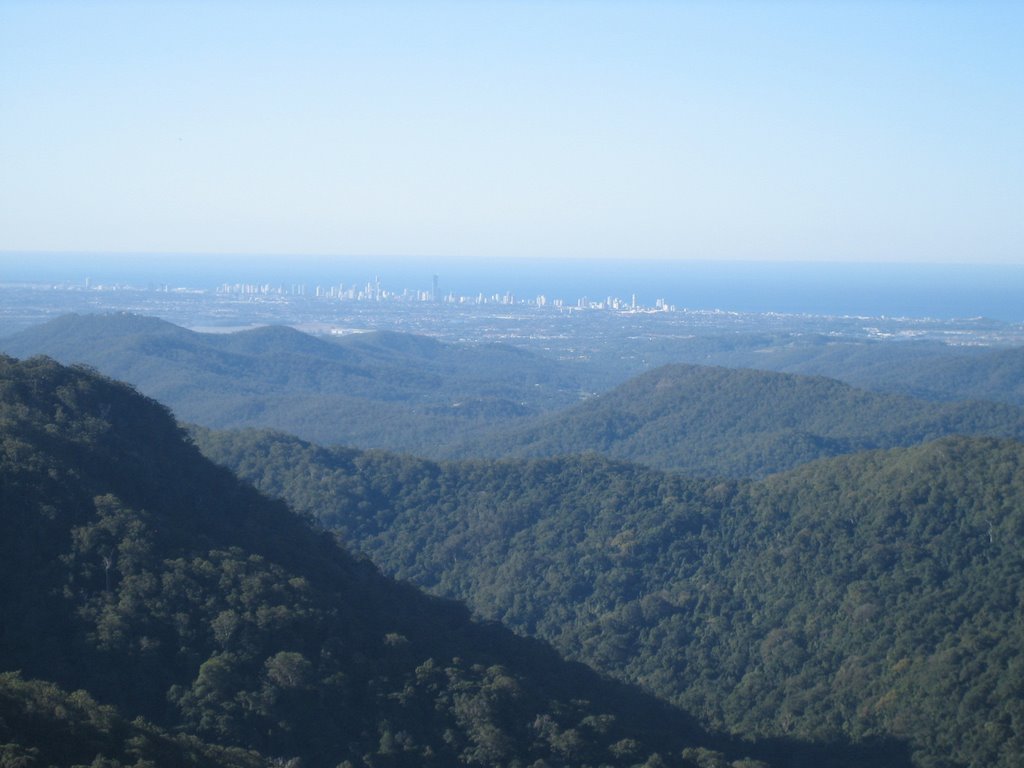 View of surfers from Springbrook National Park by Althia