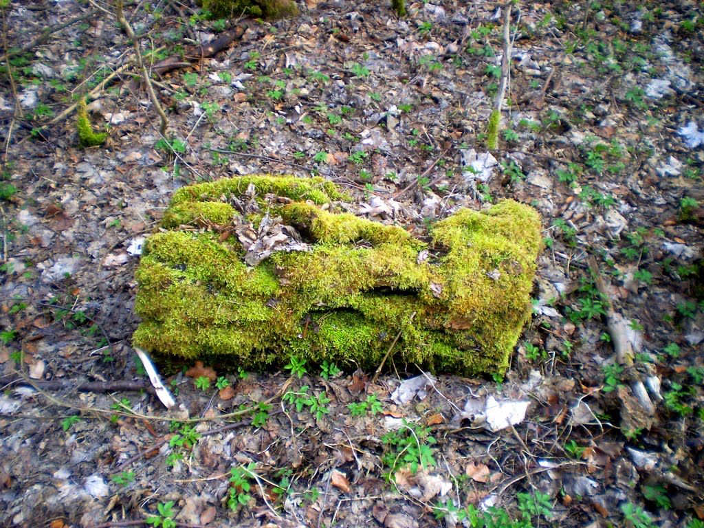 Clothed in moss by ramesse IV