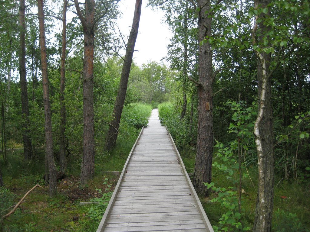 Gångväg över våtmarkerna vid Rocksjön by a n n i k a