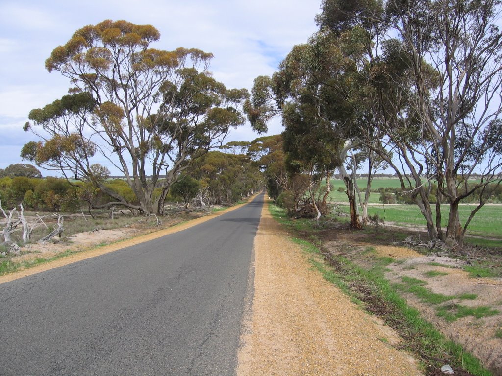 Tincurrin Road, looking south near Tincurrin by paul_adams777