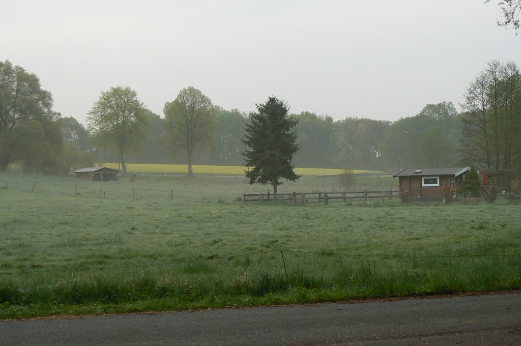 Blick aus der Schönen Mühle by Jörn und Corinna