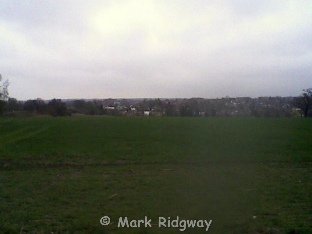 Fields by Hawkshead Lane, Brookmans Park (1) by Mark Ridgway