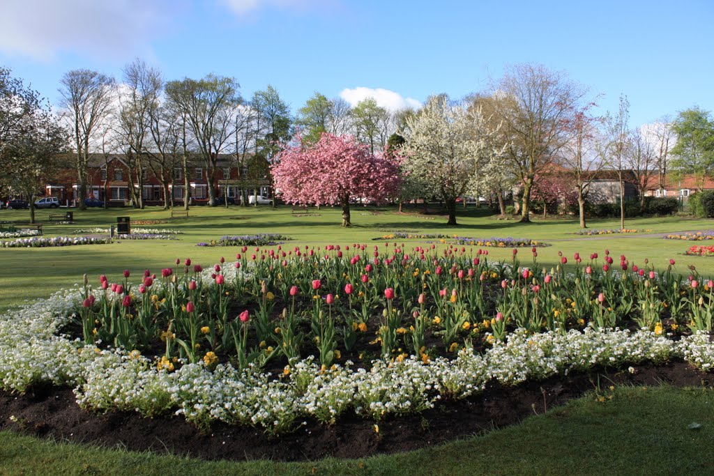 Jubilee Park Flower May by Tony Oldfield