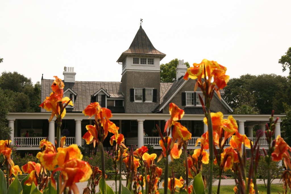 Magnolia Gardens Plantation by peter sanger