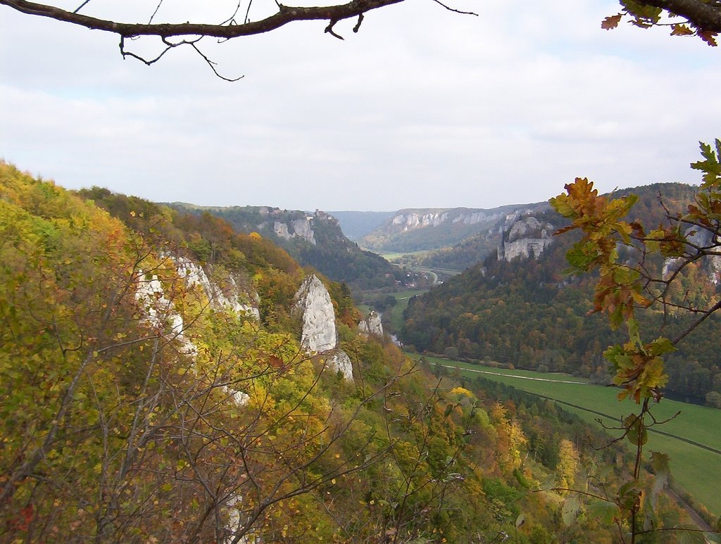 Blick vom Eichfelsen auf Werenwag by A.Flad