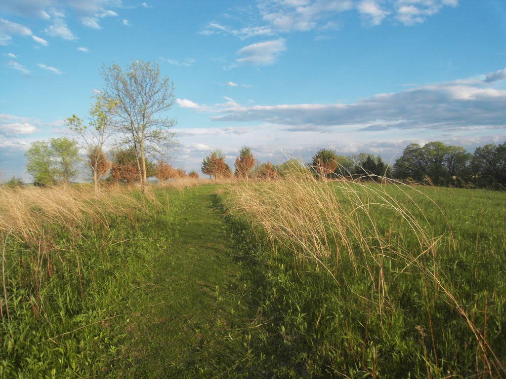 Afton State Park MN by nkovac1