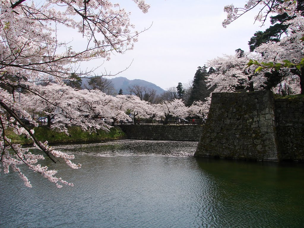 鶴ヶ城（北出丸）の桜 by happycanyon