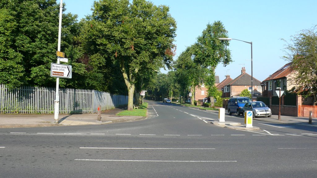 Campleshon Road York by newborough