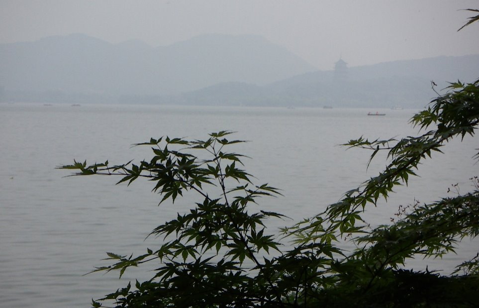 Pagoda by West Lake, Hangzhou by Austin Whittall