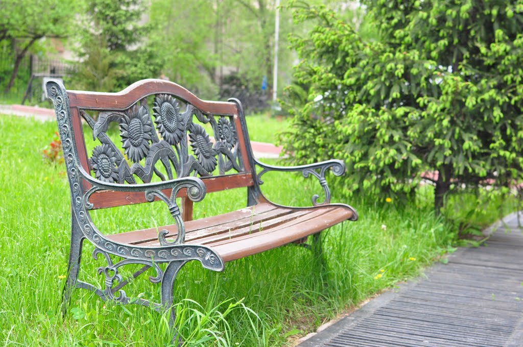 Bench on the Zhambyl Street / Скамейка на ул. им. Жамбыла by V-Italy