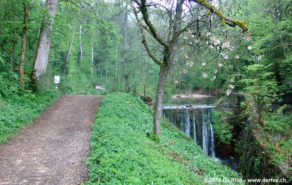 Teufelsschlucht bei Hägendorf by TheRivo