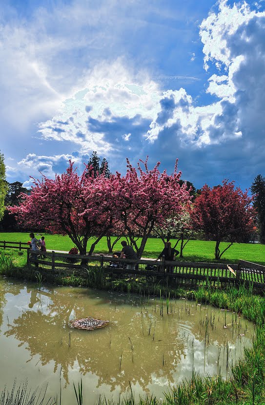 Parc Bertrand (1) by wx