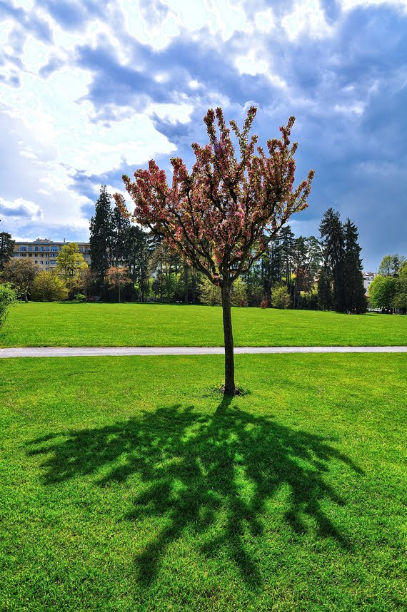 Parc Bertrand (3) by wx