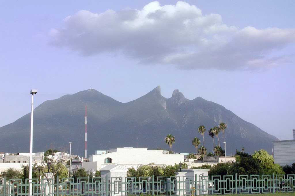 Cerro de la silla by Schneidenbach