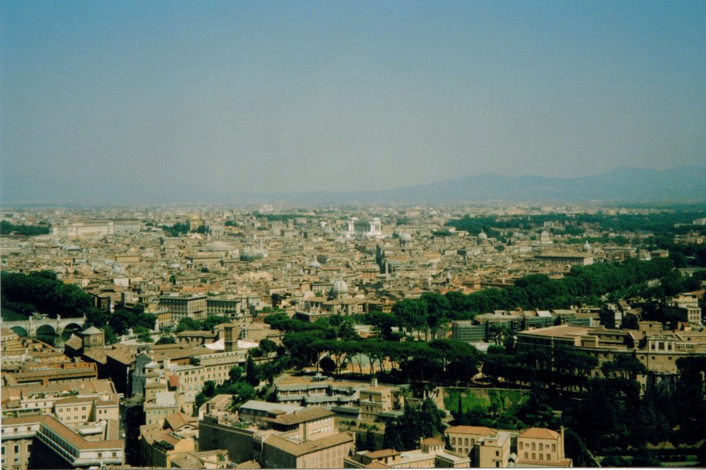 View of Rome by colm18