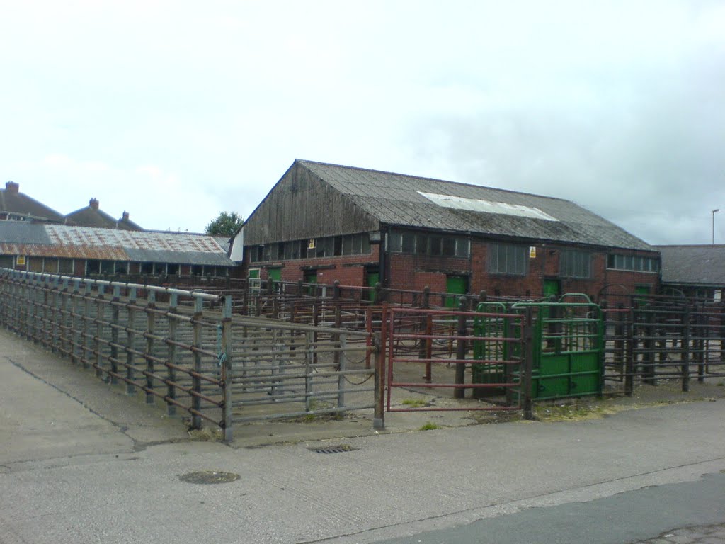 Penistone cattle market by northernbird1989