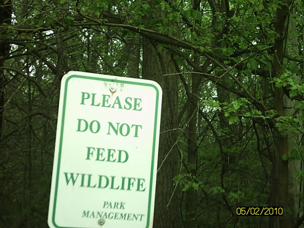 Park by Lenard Wheeler