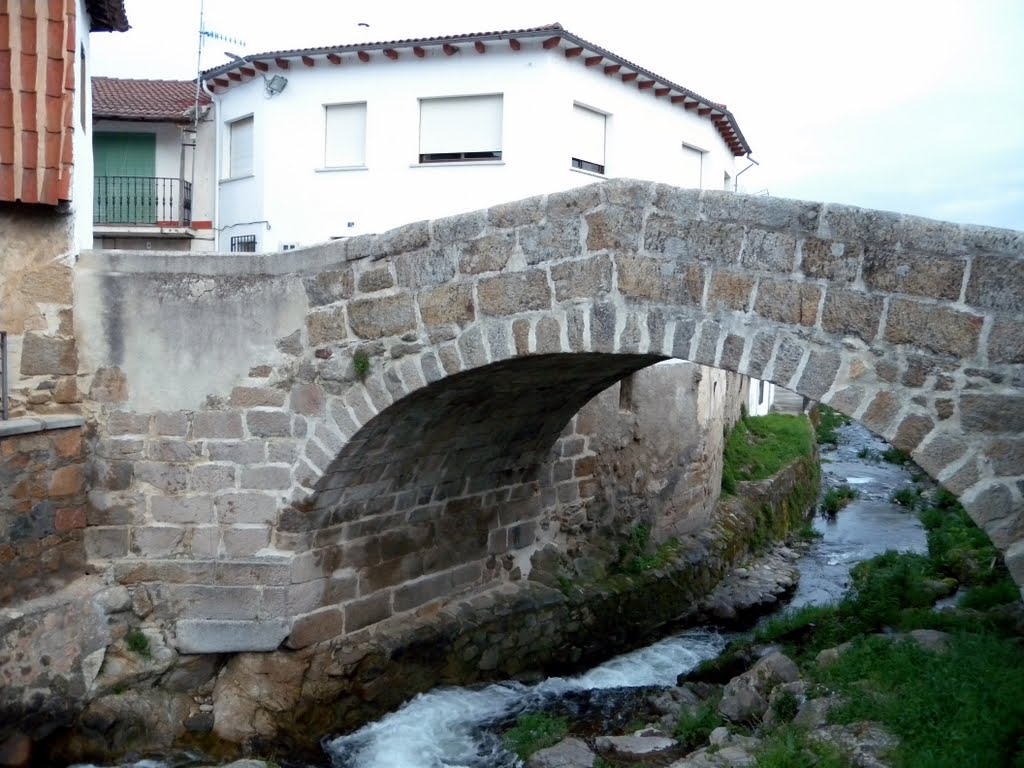 Puente medieval by Anibal_One