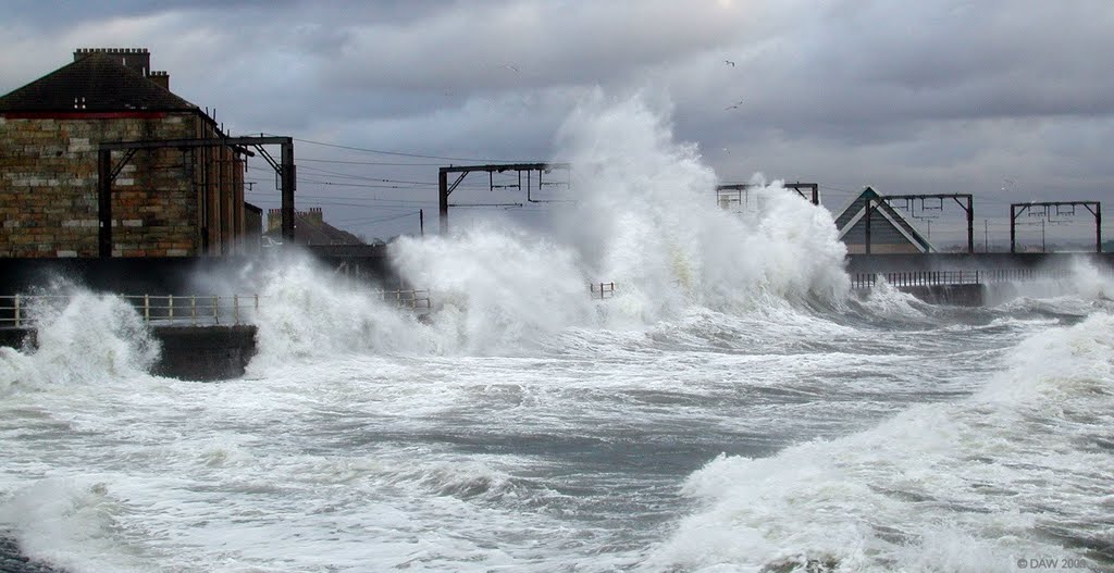 Winter storm, Saltcoats by donaldw