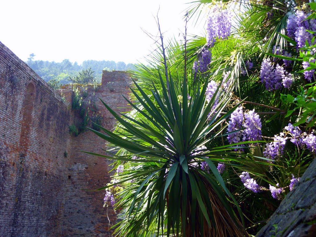 Bocca di Magra, monastero Santa Croce by sergio alessi