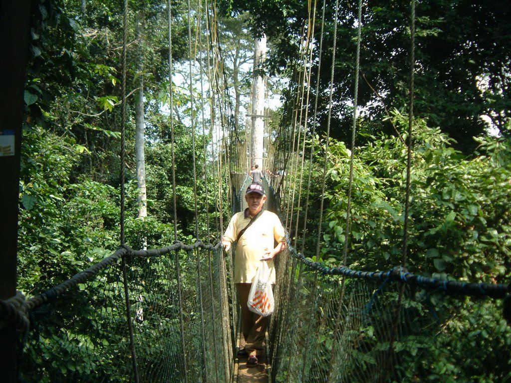 Kakum Park Canopy Walk by WHWS