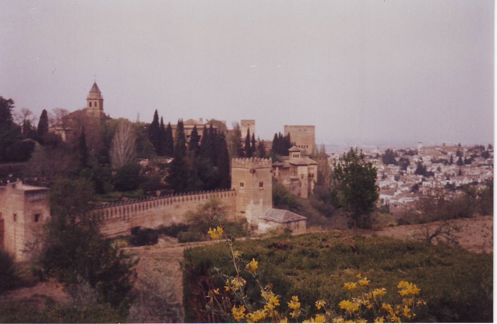 Granada, Generalife by Piero Fontana