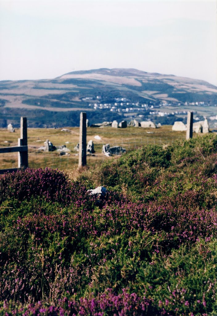 Meayll Circle Chambered Cairn by Tony Comish