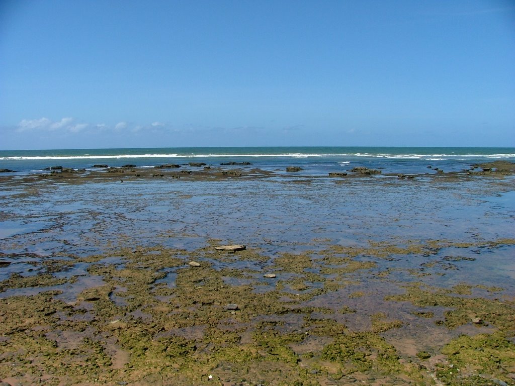 Praia do Forte - Bahia - by LAMV by Luiz Alberto Maron V…