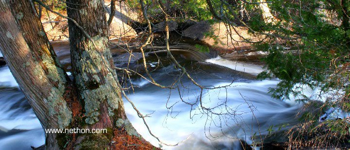 Algonquin Park by khawkc