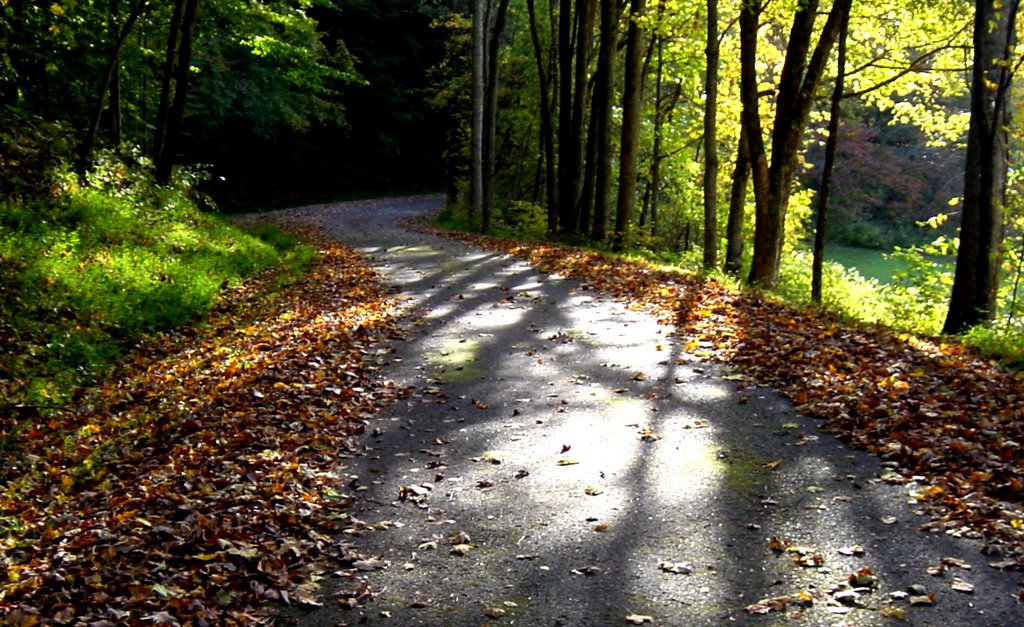 Percy Warner Park by jdnet