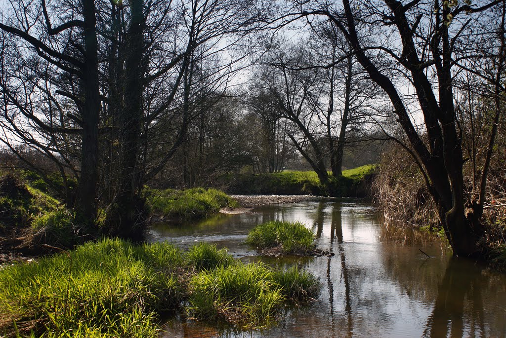 River Yeo by Crediton. by andrewhead