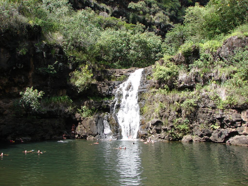 Wiamea Falls by humphbri