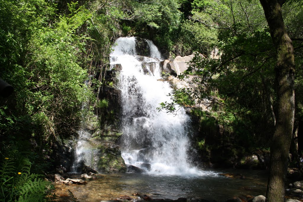 Cascata da Cabreia, Silva Escura - Sever do Vouga by João Paulo Coutinho