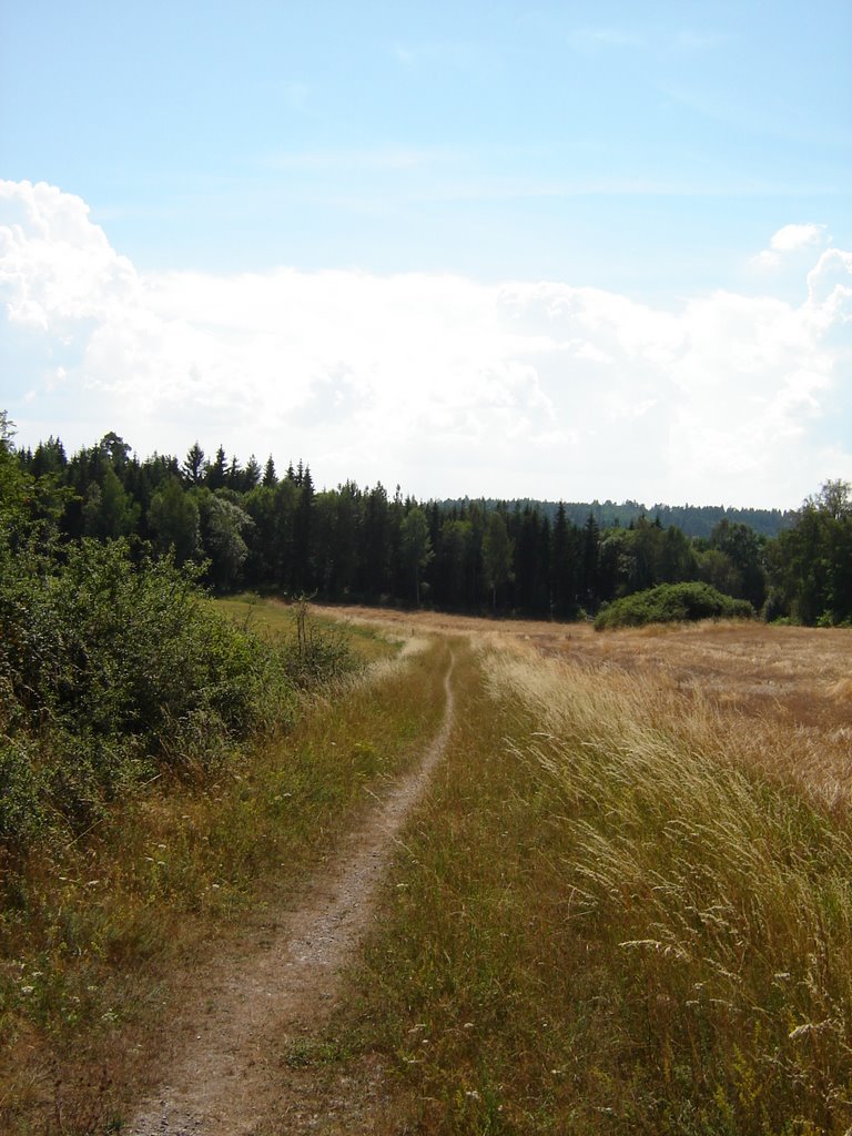 MTB Trail Fornstigen Lovön by Michael Phillips