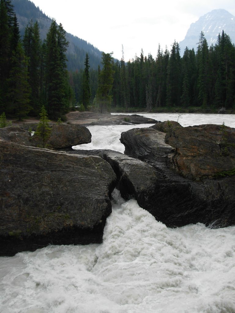 Natural Bridge (Near Field) by bchurch