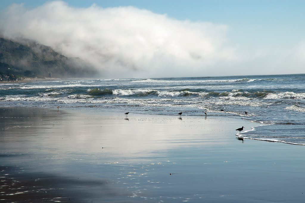 Stinson Beach Surf by M Jack